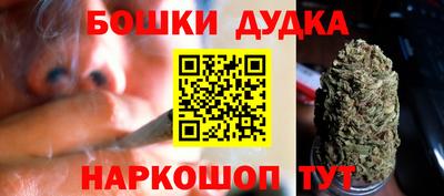 тгк Будённовск