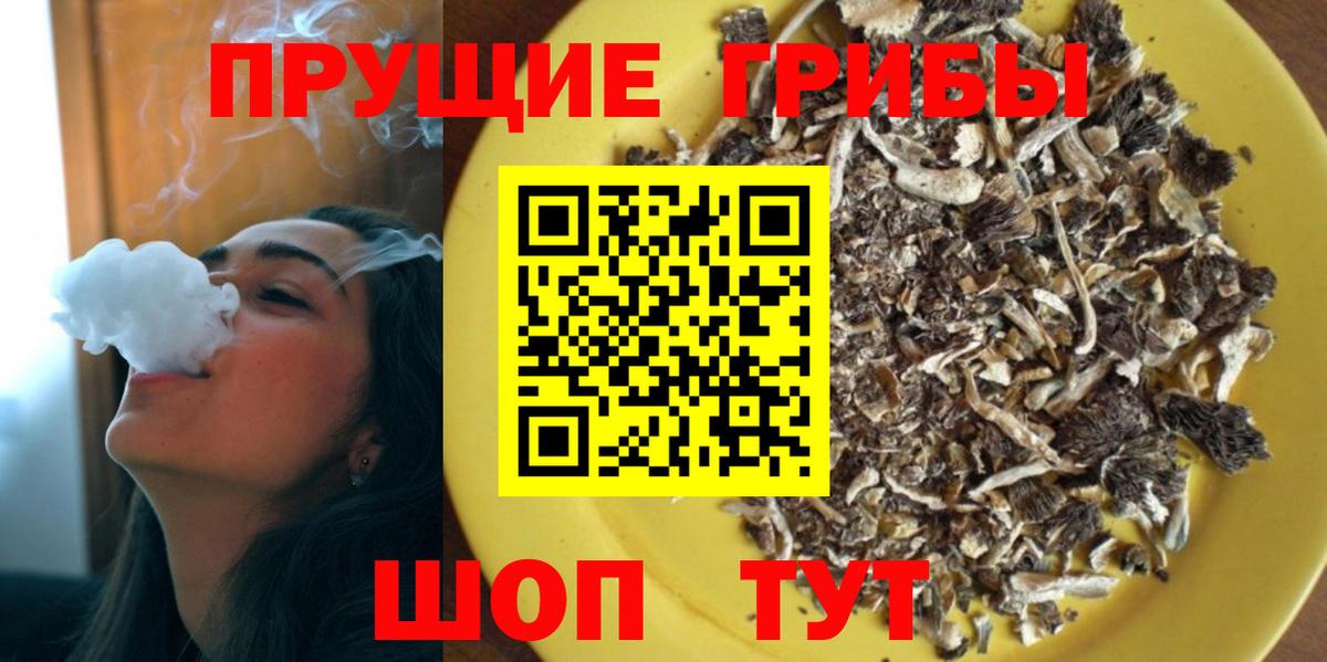 Псилоцибиновые грибы мицелий Таганрог